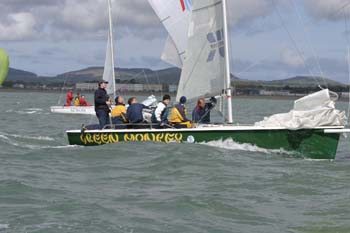 149-4919_IMG