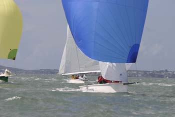 148-4891_IMG_2