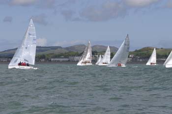 149-4953_IMG