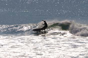 134-3441_IMG
