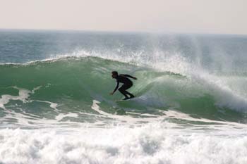 134-3503_IMG