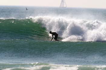 135-3553_IMG