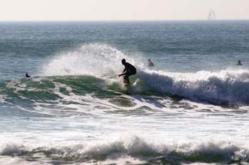 136-3607_IMG