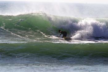 136-3614_IMG