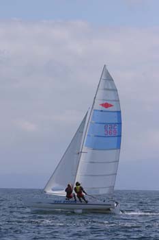 H4-0196