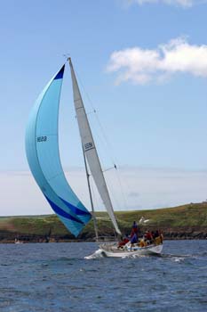 129-2989_IMG