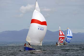 129-2951_IMG