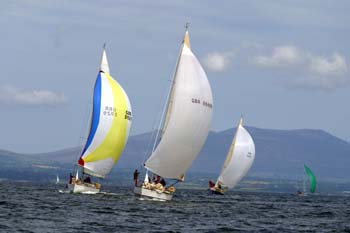 128-2895_IMG