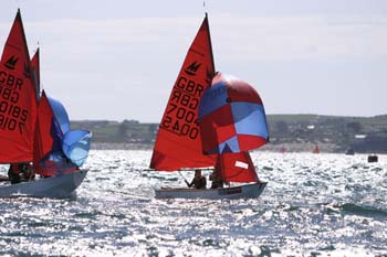 MN0036